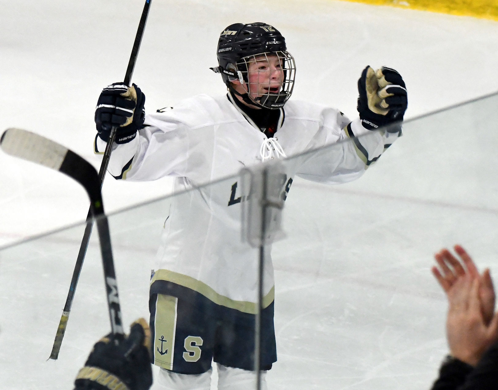 Skaneateles Grand Island 3.JPG